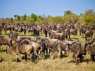 Serengeti National Park